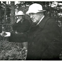 7732_600.jp2